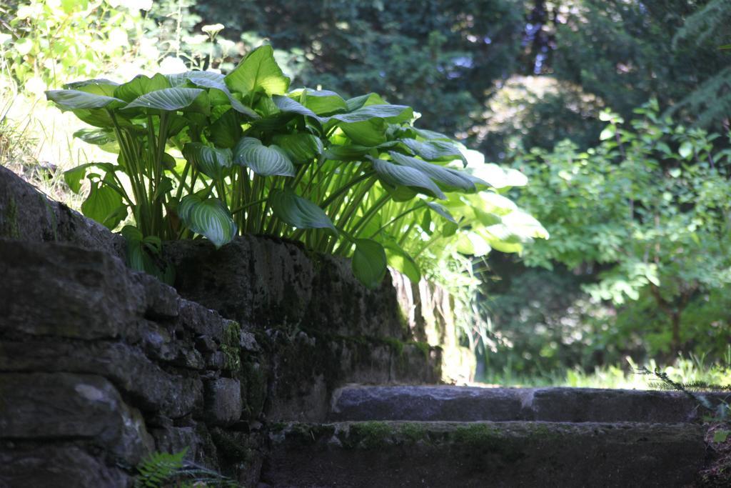 Villa Emilia Craveggia Exteriér fotografie