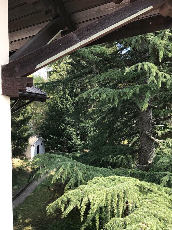 Villa Emilia Craveggia Exteriér fotografie